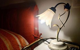 MAYFLOWERS B&B Zona Ospedale Cisanello Pisa